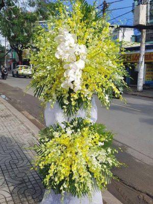 Giao Hoa Tận Nơi Thị Trấn Minh Đức, Thuỷ Nguyên, Hải Phòng